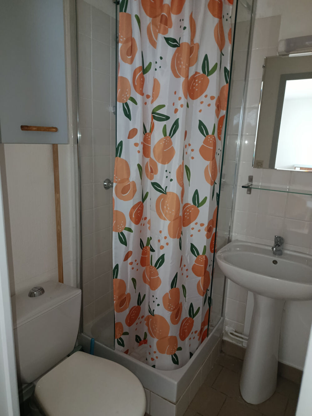 Location Appartement SARAN, ANCIENNE ROUTE DE CHARTRES Saran