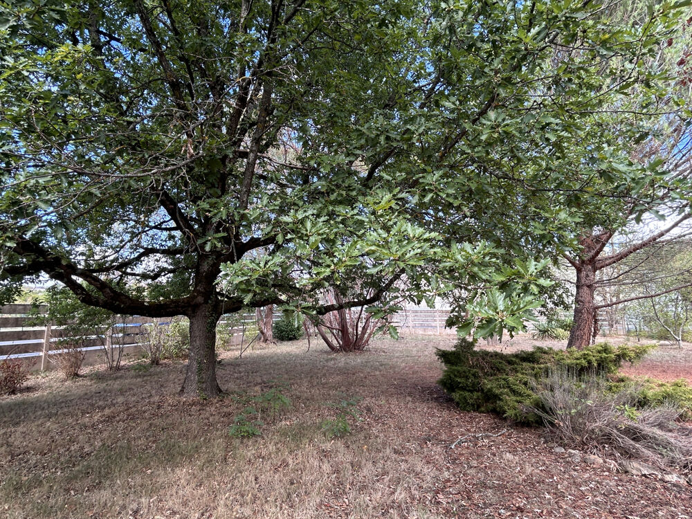 Vente Maison A VENDRE - Maison 4 pièces avec vie de plain-pied - garage/atelier de 90 m2 environ et jardin proche centre-vi Argenton sur creuse