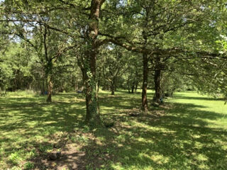  Maison � vendre 7 pi�ces 214 m�