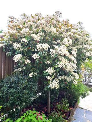  Maison � vendre 6 pi�ces 125 m�