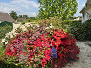  Maison � vendre 6 pi�ces 174 m�