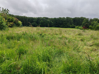  Terrain à vendre 992 m²