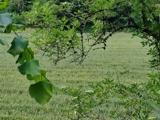  Terrain � vendre 1368 m�