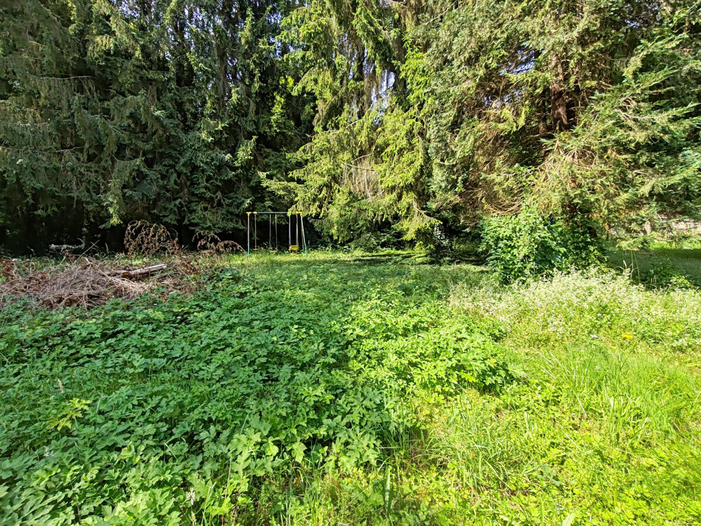 Vente Terrain BEAU TERRAIN DE LOISIRS Villers cotterets