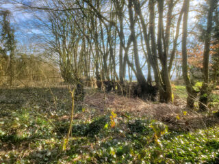  Terrain  vendre 6416 m