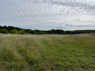  Terrain  vendre 8000 m