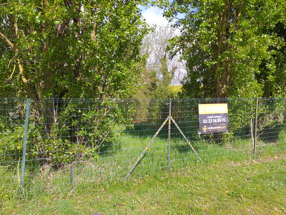 Vente Terrain TRES BEAU TERRAIN A BATIR Crepy en valois