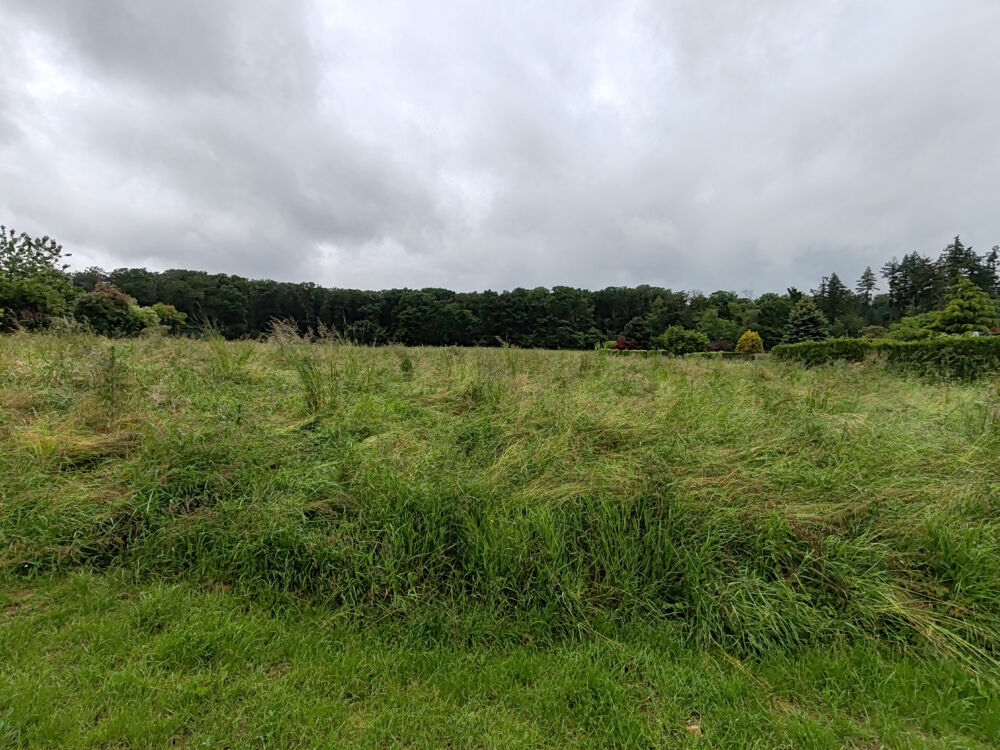Vente Terrain TERRAIN A BATIR Crepy en valois