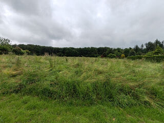 Terrain à vendre 1250 m²