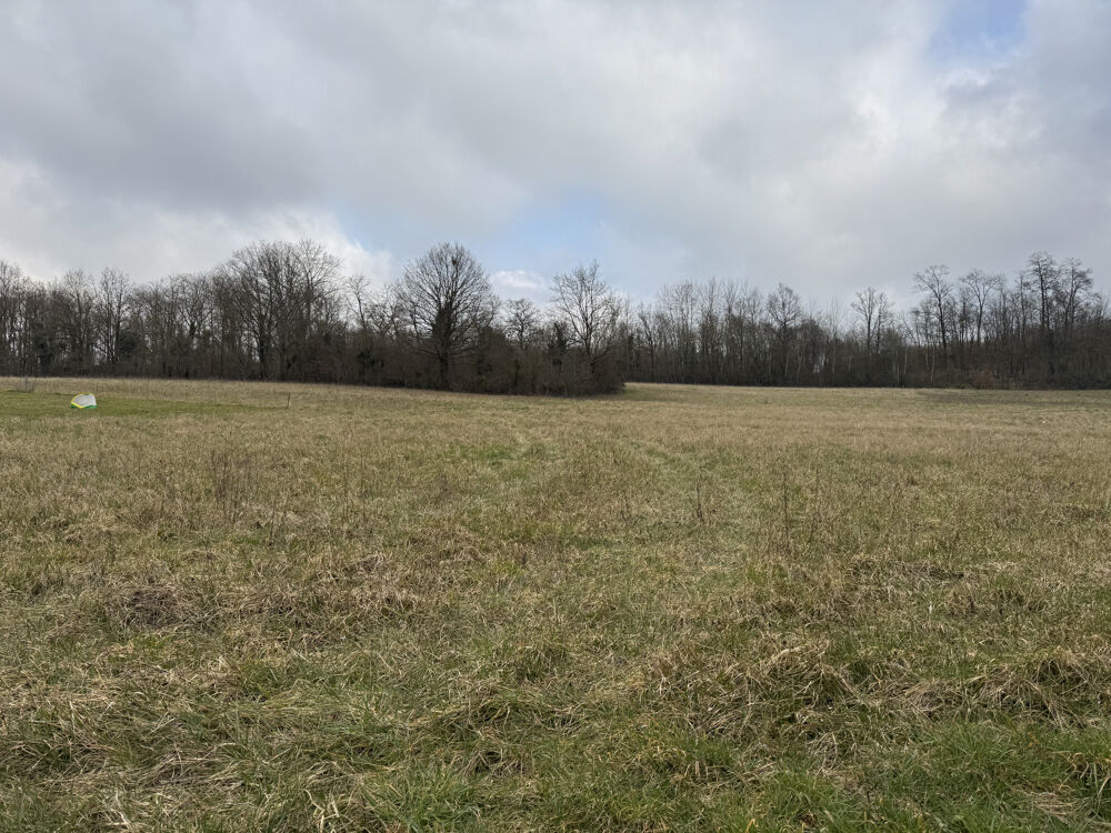 Vente Terrain TERRAIN A BATIR Neuilly st front