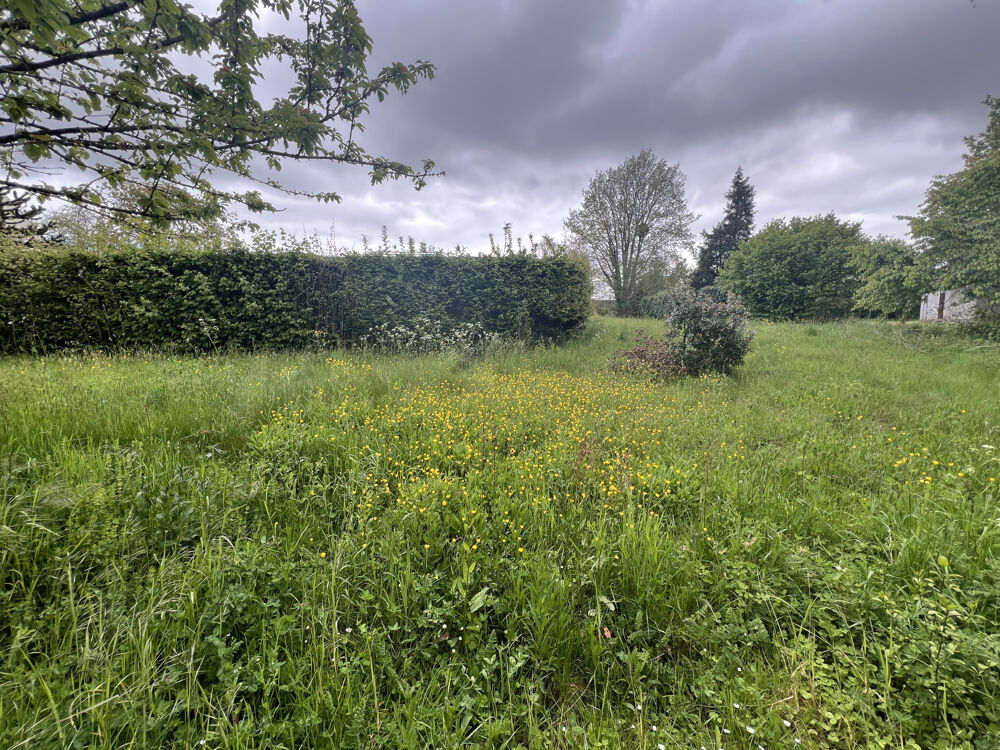 Vente Terrain 6KMS VILLERS COTTERETS Villers cotterets