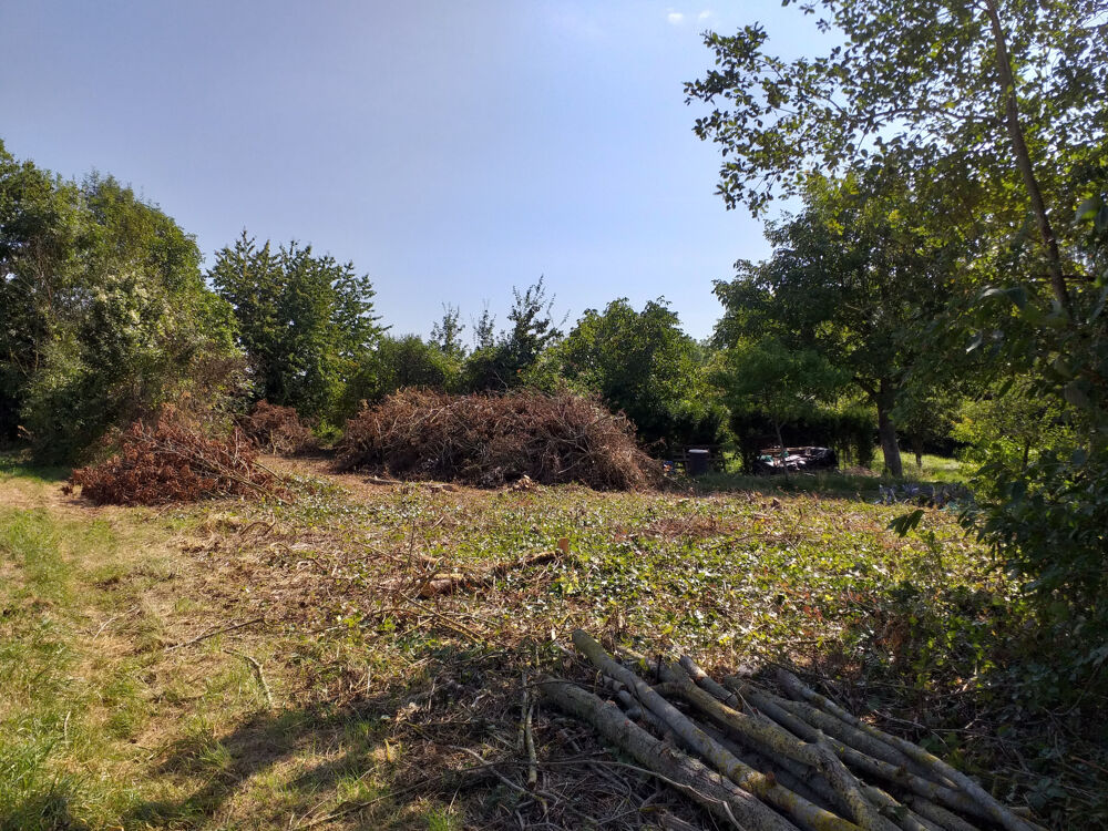 Vente Terrain TERRAIN DE LOISIRS Villers cotterets