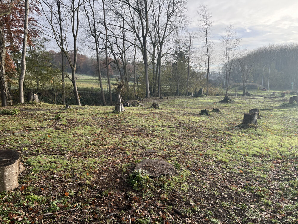 Vente Terrain TERRAIN A BATIR Neuilly st front