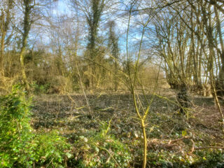  Terrain � vendre 6416 m�