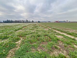  Terrain à vendre 16978 m²