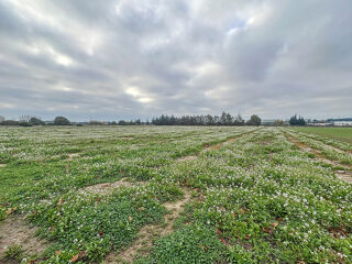  Terrain à vendre 16978 m²
