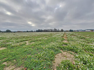  Terrain à vendre 16978 m²