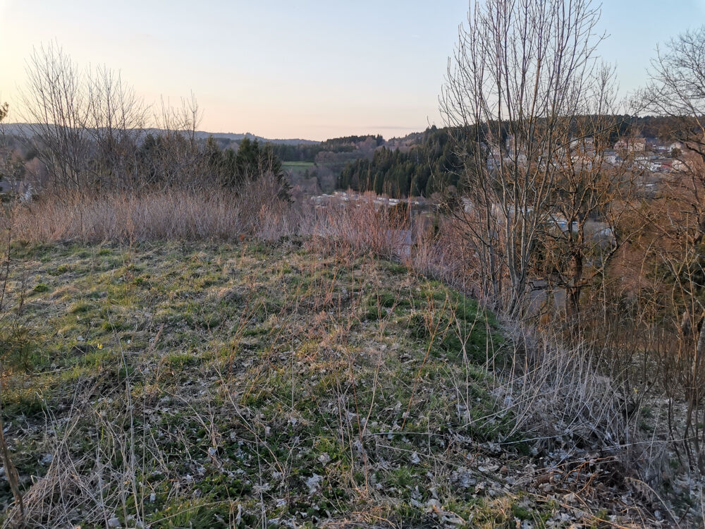 Vente Terrain Terain proche du village avec vue Le chambon sur lignon