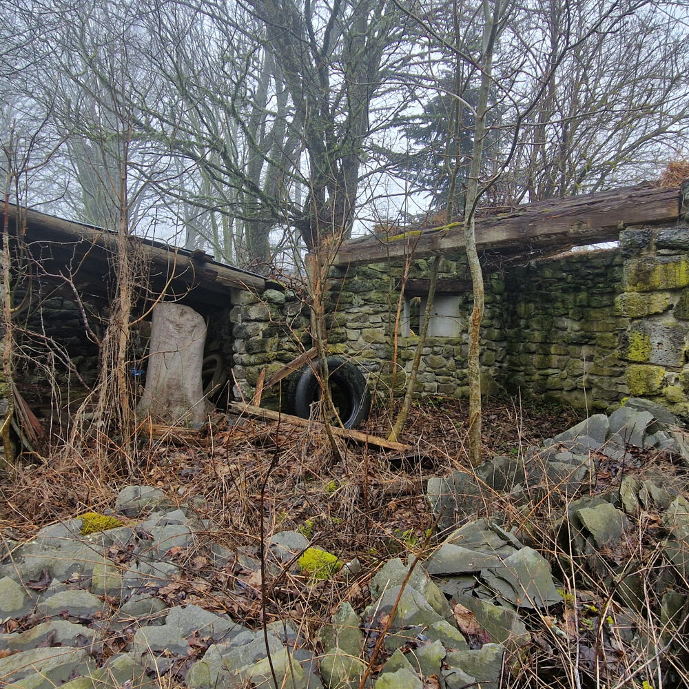 Vente Ferme Ancienne Ferme en Ruine avec terrain de 2685m2 St front