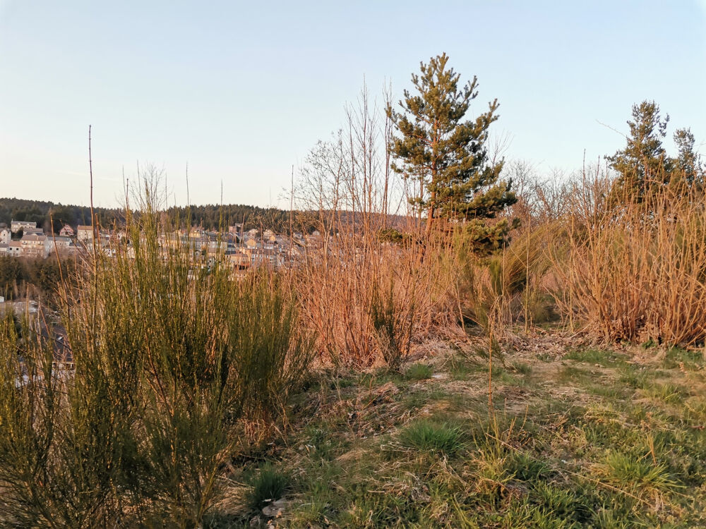 Vente Terrain Terain proche du village avec vue Le chambon sur lignon