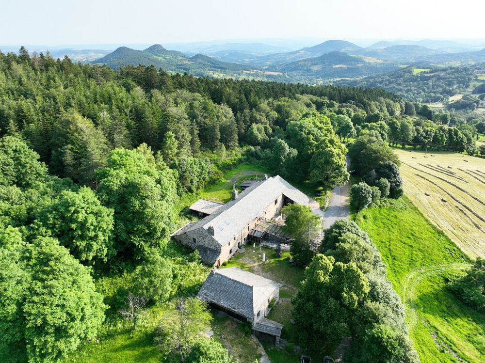 Vente Ferme Domaine isol dans la foret du Meygal Queyrieres