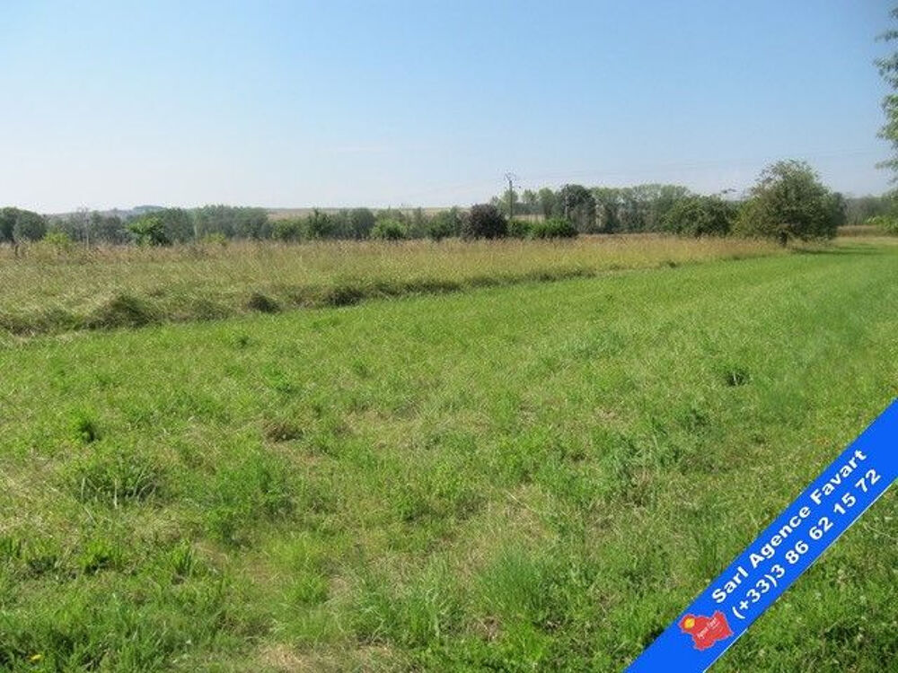 Vente Terrain Terrain de loisirs Cezy