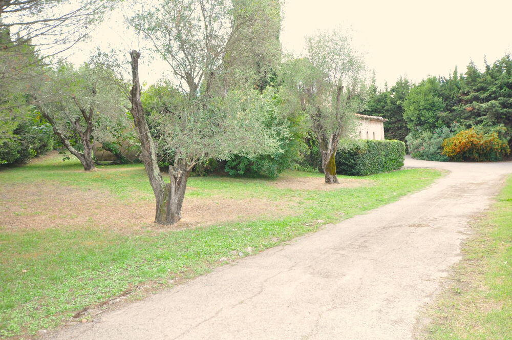� vendre  Maison Mougins (06250)