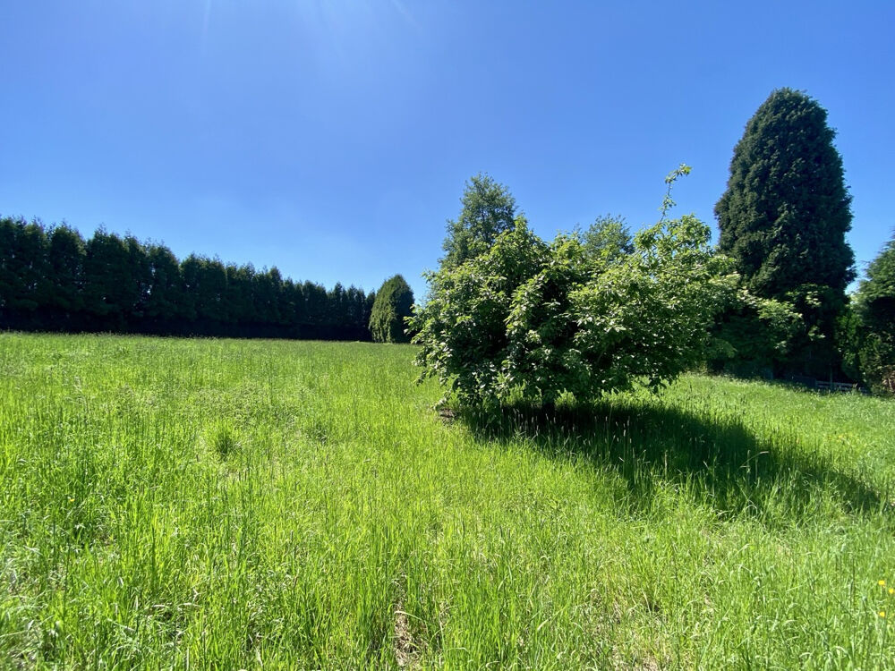 Vente Terrain UN CADRE DE VIE PRIVILÉGIÉ POUR DONNER VIE À TOUS VOS PROJETS Maubeuge