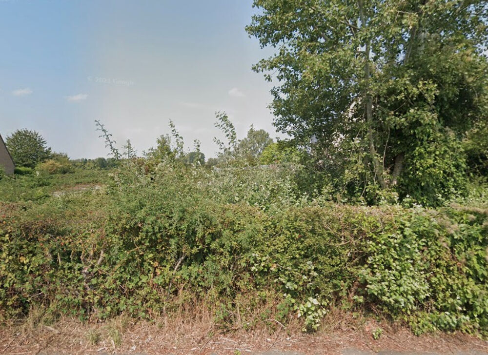 Vente Terrain Terrain à Bâtir à Vendre à JEUMONT Jeumont