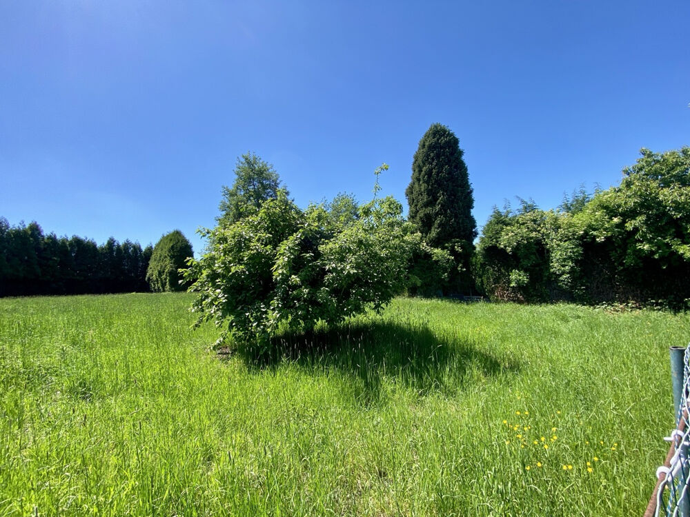 Vente Terrain UN CADRE DE VIE PRIVILÉGIÉ POUR DONNER VIE À TOUS VOS PROJETS Maubeuge