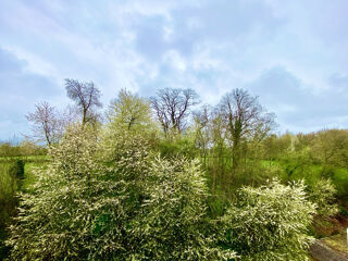  Appartement � vendre 4 pi�ces 67 m�