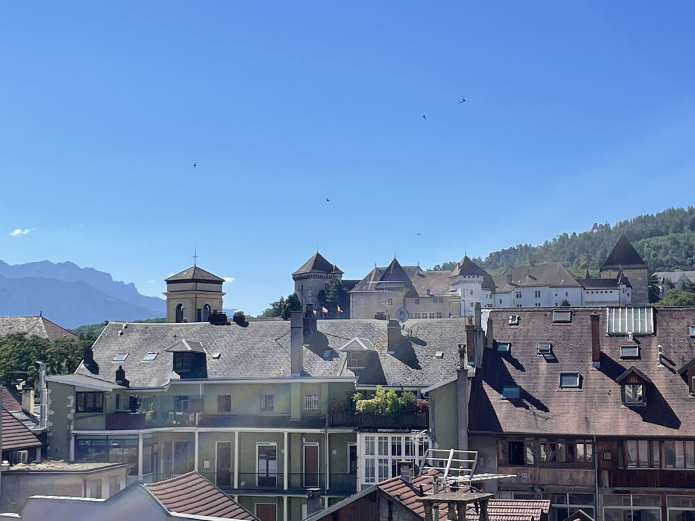 Location Appartement 'PIOUPIOU' Annecy