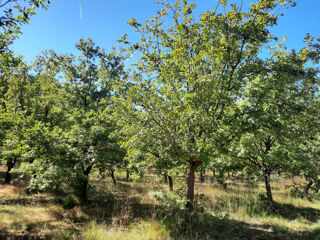  Maison � vendre 3 pi�ces 92 m�