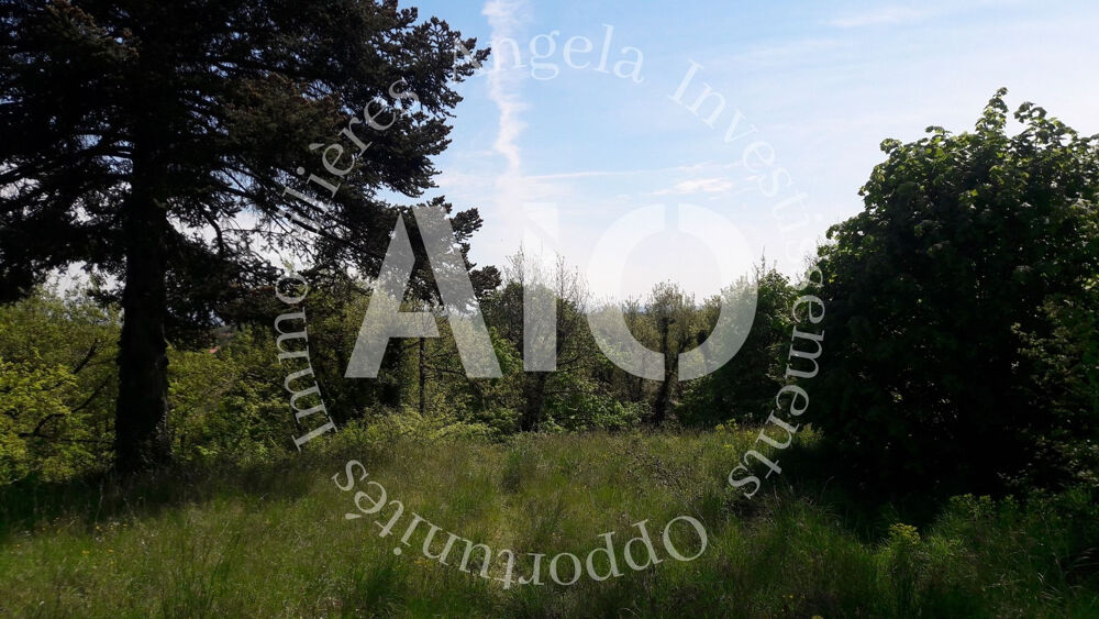 TERRAIN DE 8 646m2 AVEC MAISON INDIVIDUELLE D'UNE SURFACE DE 100m2 DE TYPE 3 SITUE A 38280 VILETTE D'ANTHON