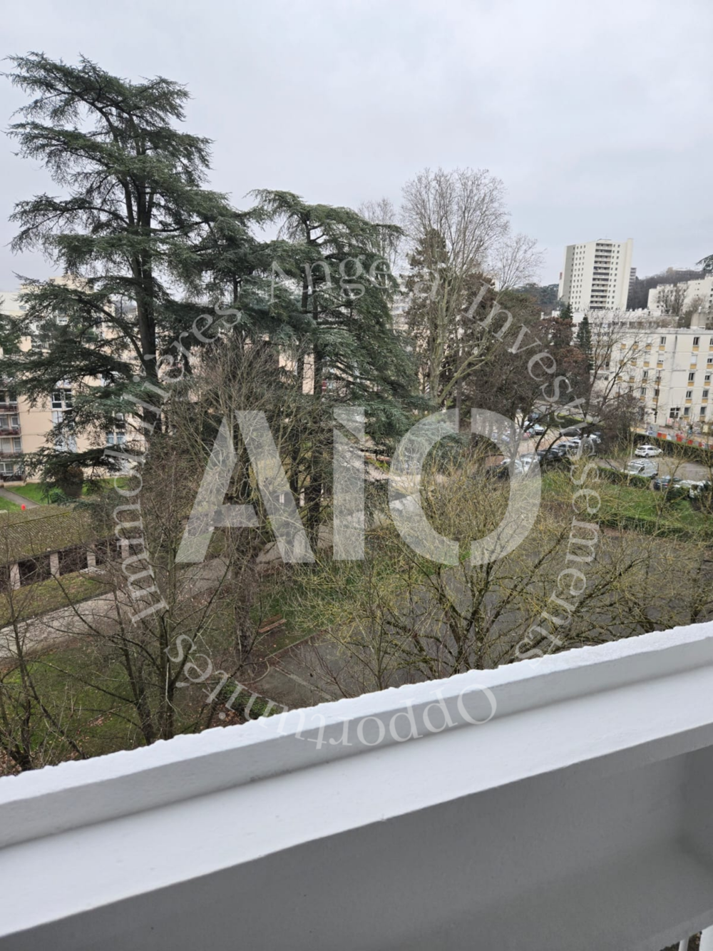Appartement T3 pièces avec balcons et cave, Avenue de la République à Tassin-la-Demi-Lune