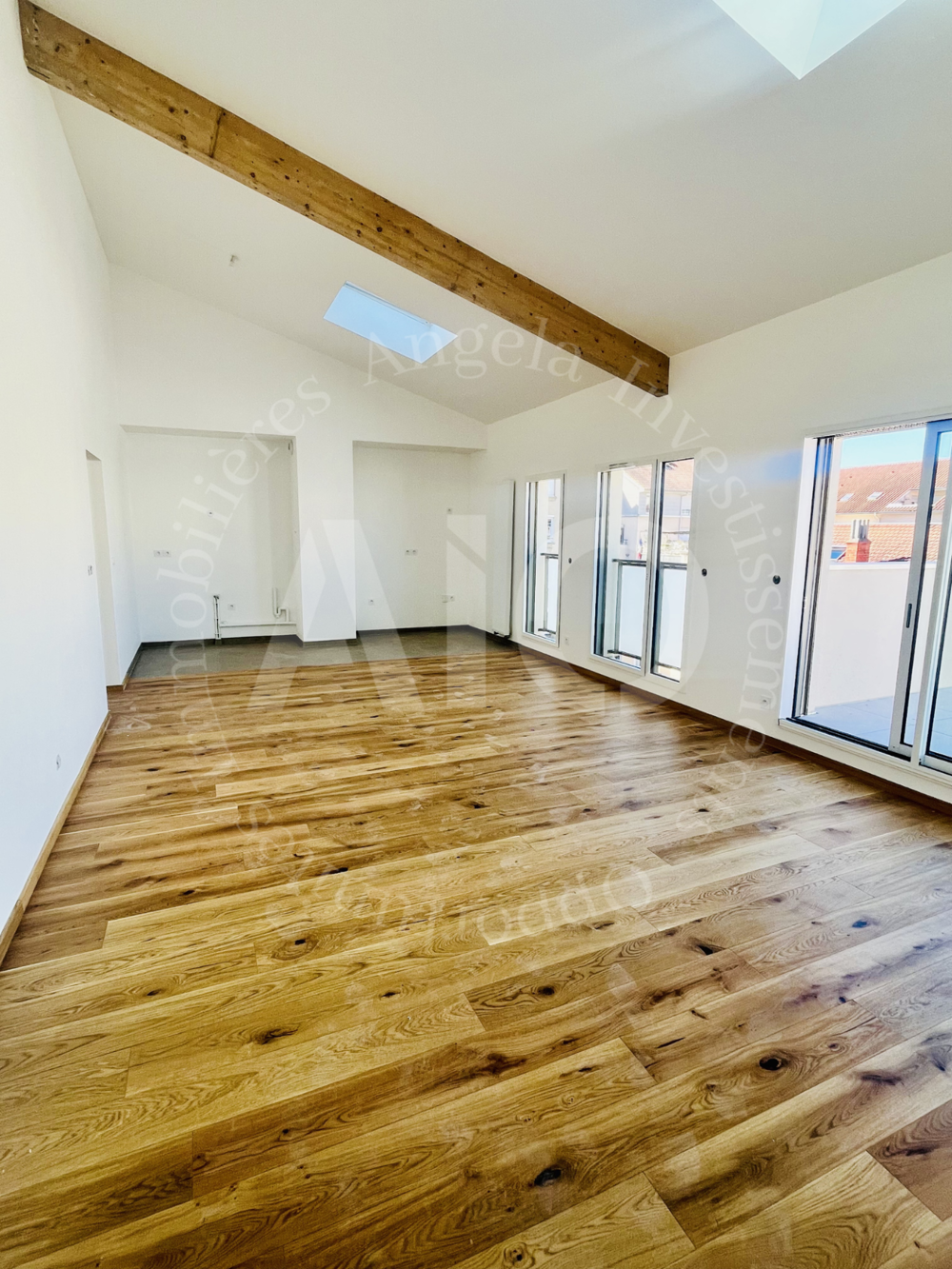 Vente Appartement Appartement d'exception en attique   Dernier �tage   Terrasse 90 m2 Villeurbanne