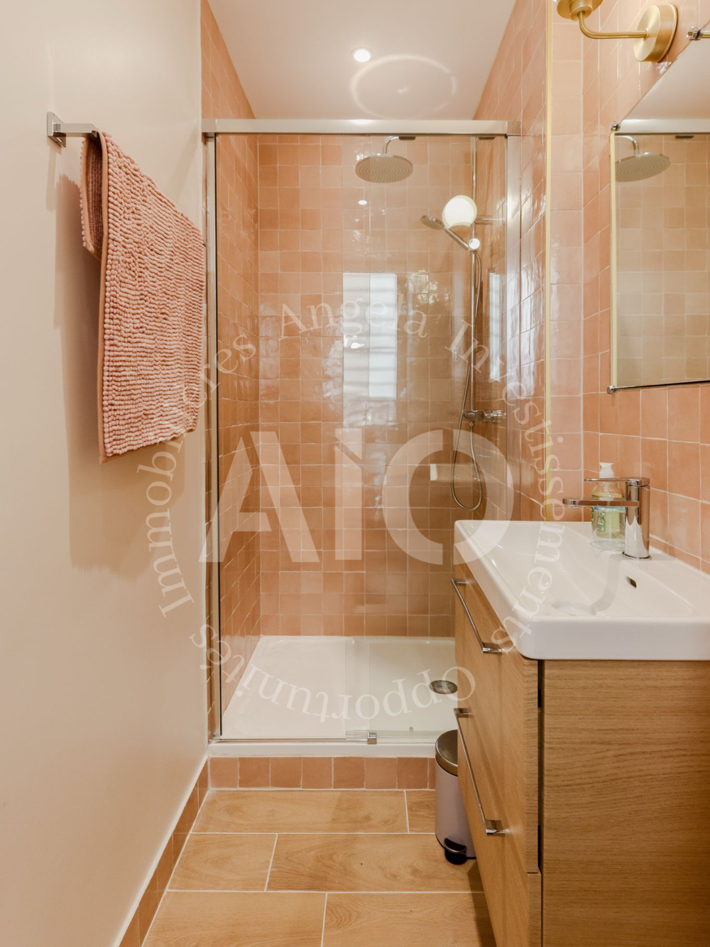 Appartement T3 Rénové avec grande terrasse et stationnement à Nice