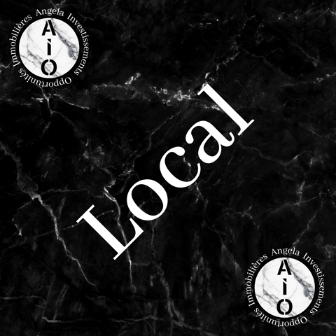 LOCAL COMMERCIAL/ACTIVITE A BRON D'UNE SURFACE DE 143m2 DE PLAIN PIED 410000 69500 Bron