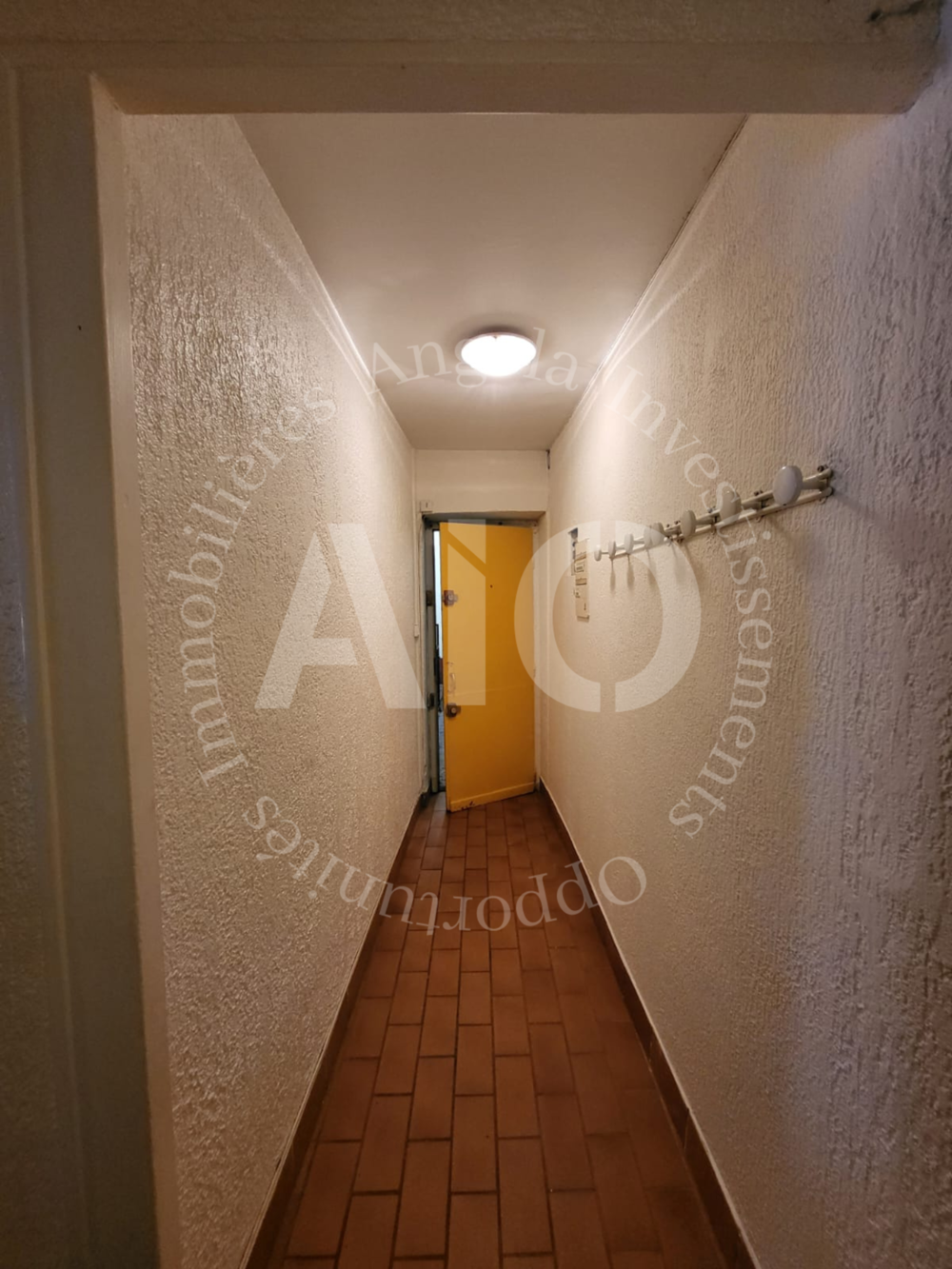 Appartement T2 d'une surface de 43m2 situé Grande rue de Saint Clair à Caluire 69300