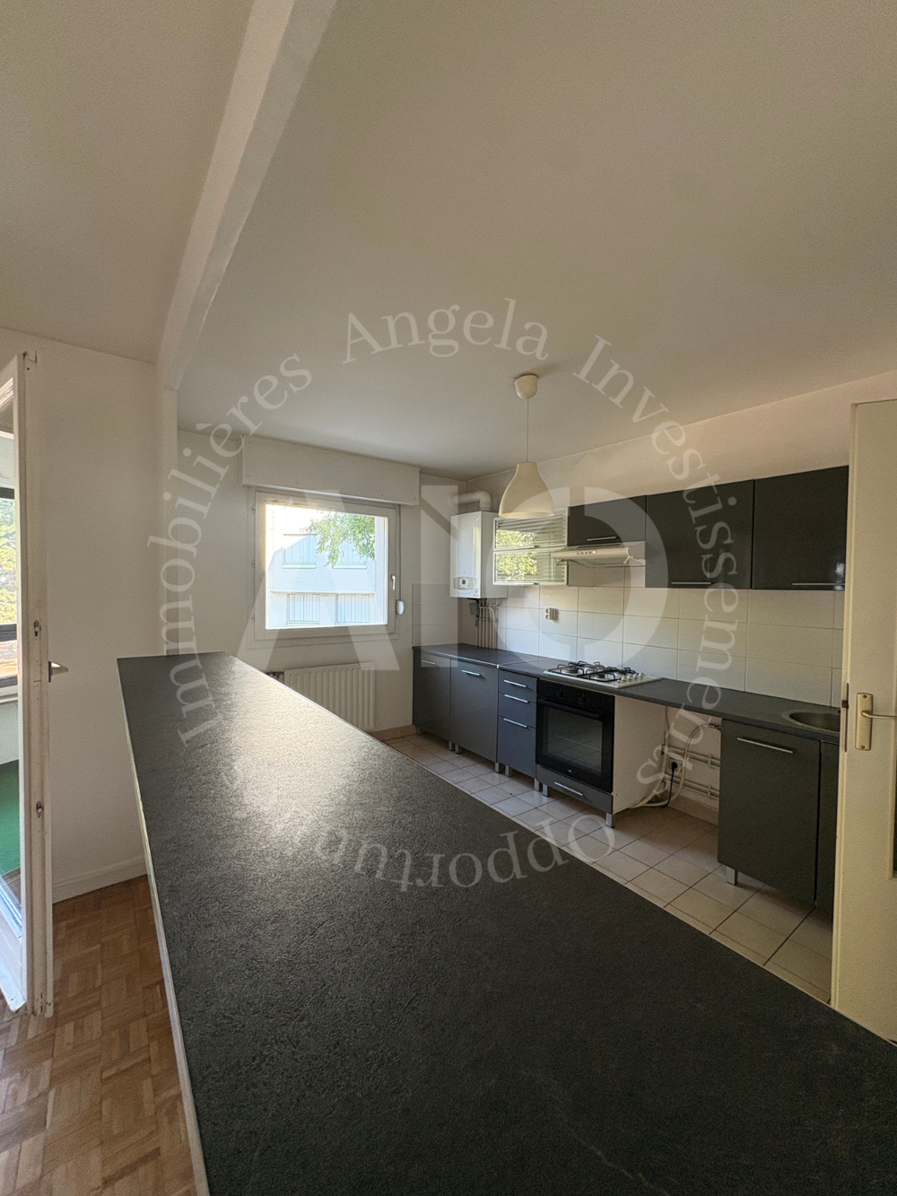 Vente Appartement Appartement T3 de 74 m2 lumineux avec jardin d'hiver/véranda Lyon 3 Lyon 3