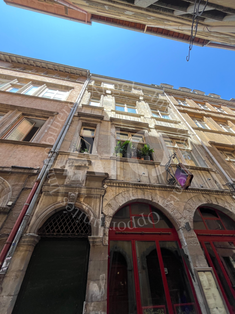 Ensemble immobilier &agrave; Lyon 5 : Murs commerciaux + Trois studios 828000 69005 Lyon