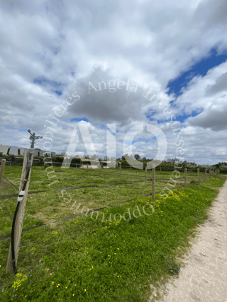  Terrain � vendre 30000 m�