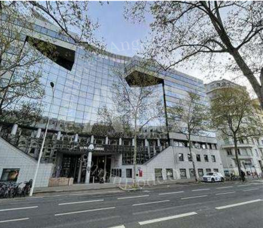   À VENDRE   Deux plateaux de bureaux lumineux - Lyon 3 