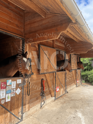  Terrain � vendre 30000 m�