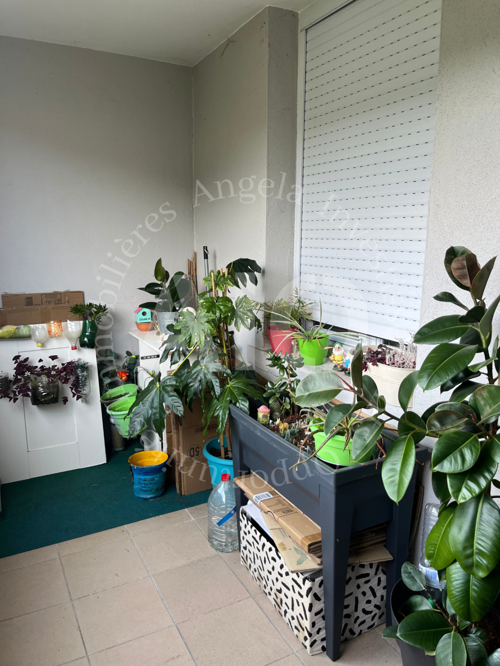 Vente Appartement À vendre   Appartement T3 traversant et lumineux de 52 m2 avec balcon en centre ville de Pontcharra (69490  Vi Vindry surturdine