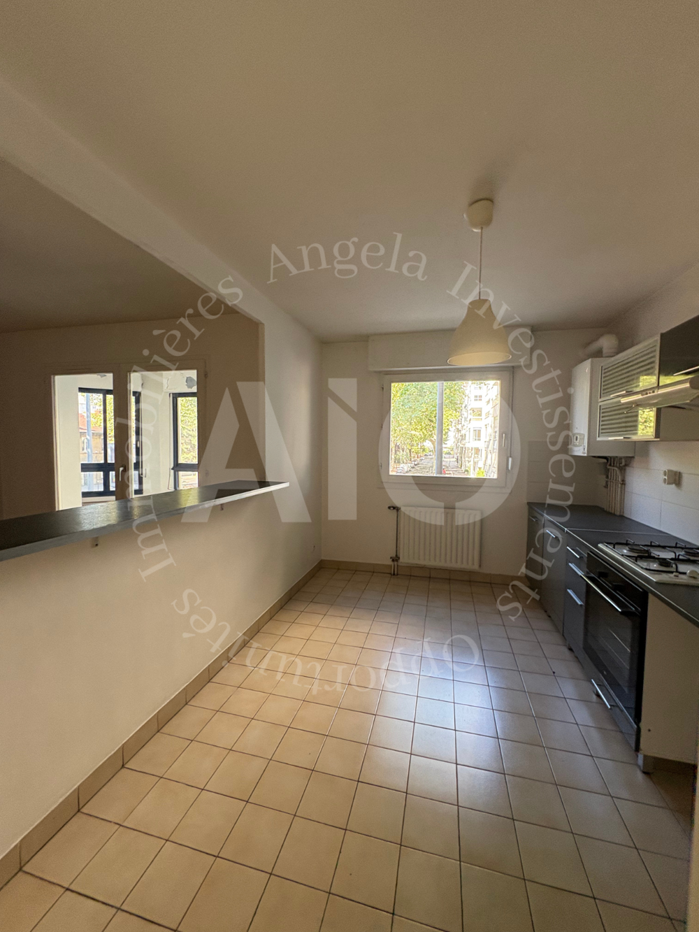 Vente Appartement Appartement T3 de 74 m2 lumineux avec jardin d'hiver/véranda Lyon 3 Lyon 3
