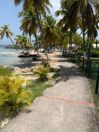  Appartement � louer 2 pi�ces 53 m�