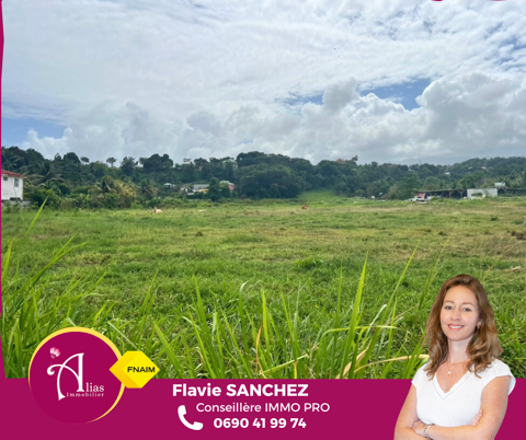 &Agrave; vendre - Terrain 15 228 m2 avec permis accord&eacute;   Montebello, Petit-Bourg 1250000 97170 Petit bourg