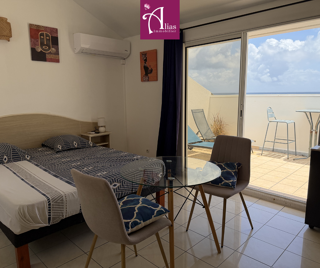  Appartement à louer 1 pièce 24 m²