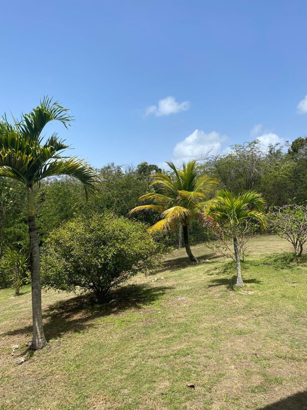 Vente Immeuble Immeuble de rapport au Gosier Périnet   3 duplex loués   Terrain 2020 m2   Rentabilité attractive Le gosier
